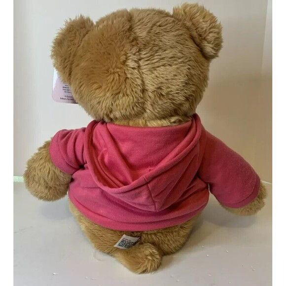 Breast Cancer Awareness Teddy Bear Plush 20 Inches Pink Ribbon Gund Macy's M1 - Picture 5 of 7